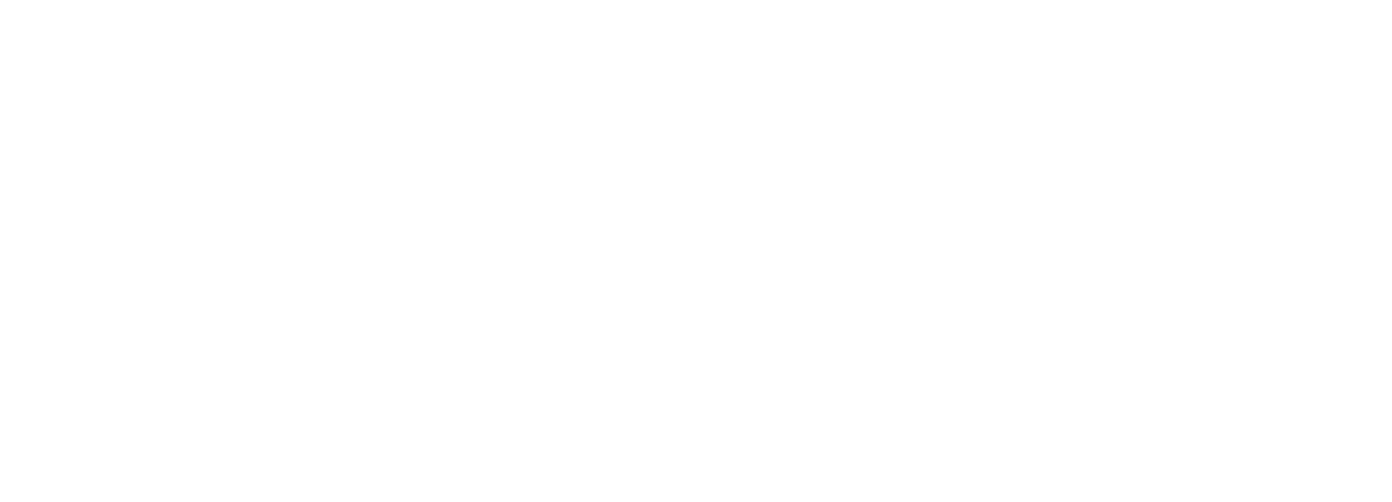 Metro Vans Logo